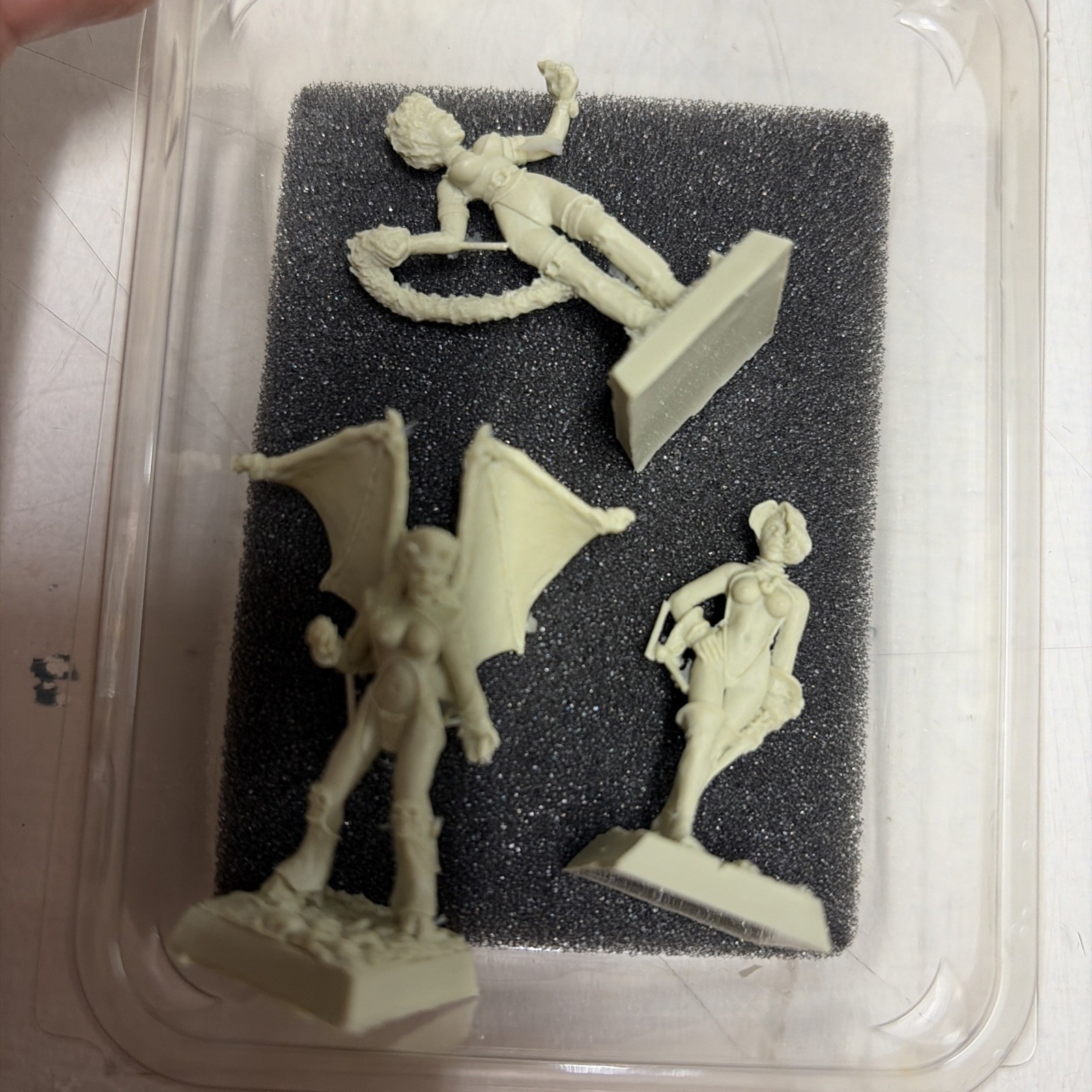 Fenryll FM 03 Les Succubes 25 mm - blister pack - resina - immagine 5