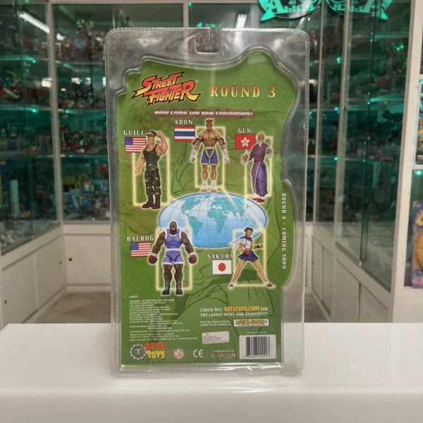 SOTA TOYS Capcom STREET FIGHTER Action Figure - ADON - VERY RARE - immagine 3