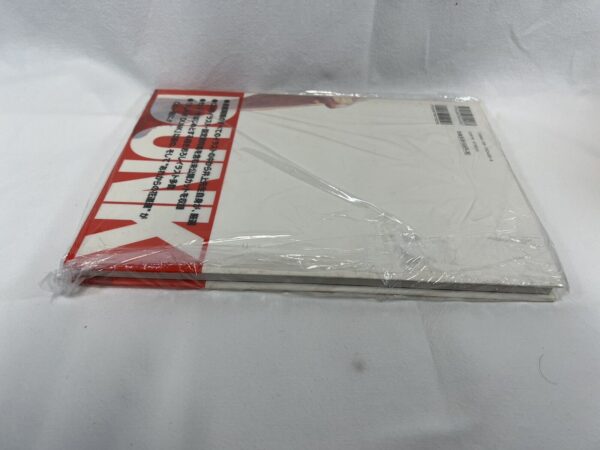 Takehiko Inoue - Illustrations Book Slum Dunk originale Giapponese - immagine 5