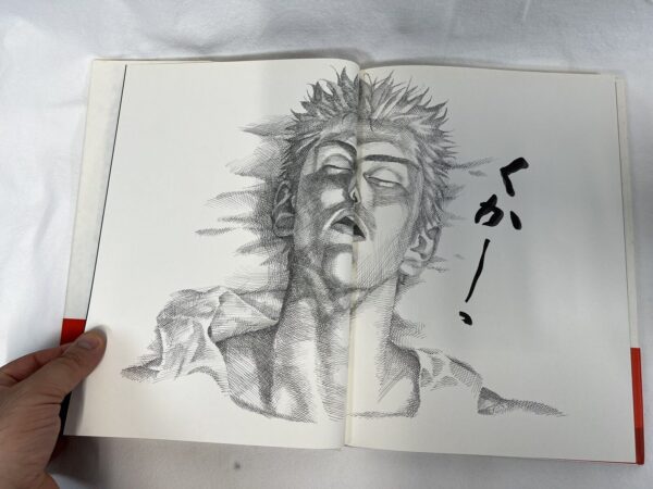 Takehiko Inoue - Illustrations Book Slum Dunk originale Giapponese - immagine 6