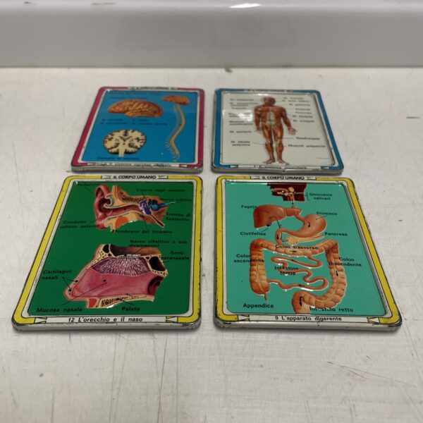 IL CORPO UMANO schede metalliche completa 1/12 corriere dei piccoli 60-'70 - immagine 4