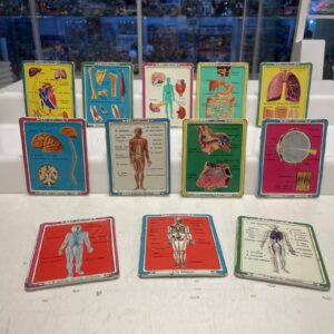 IL CORPO UMANO schede metalliche completa 1/12 corriere dei piccoli 60-'70