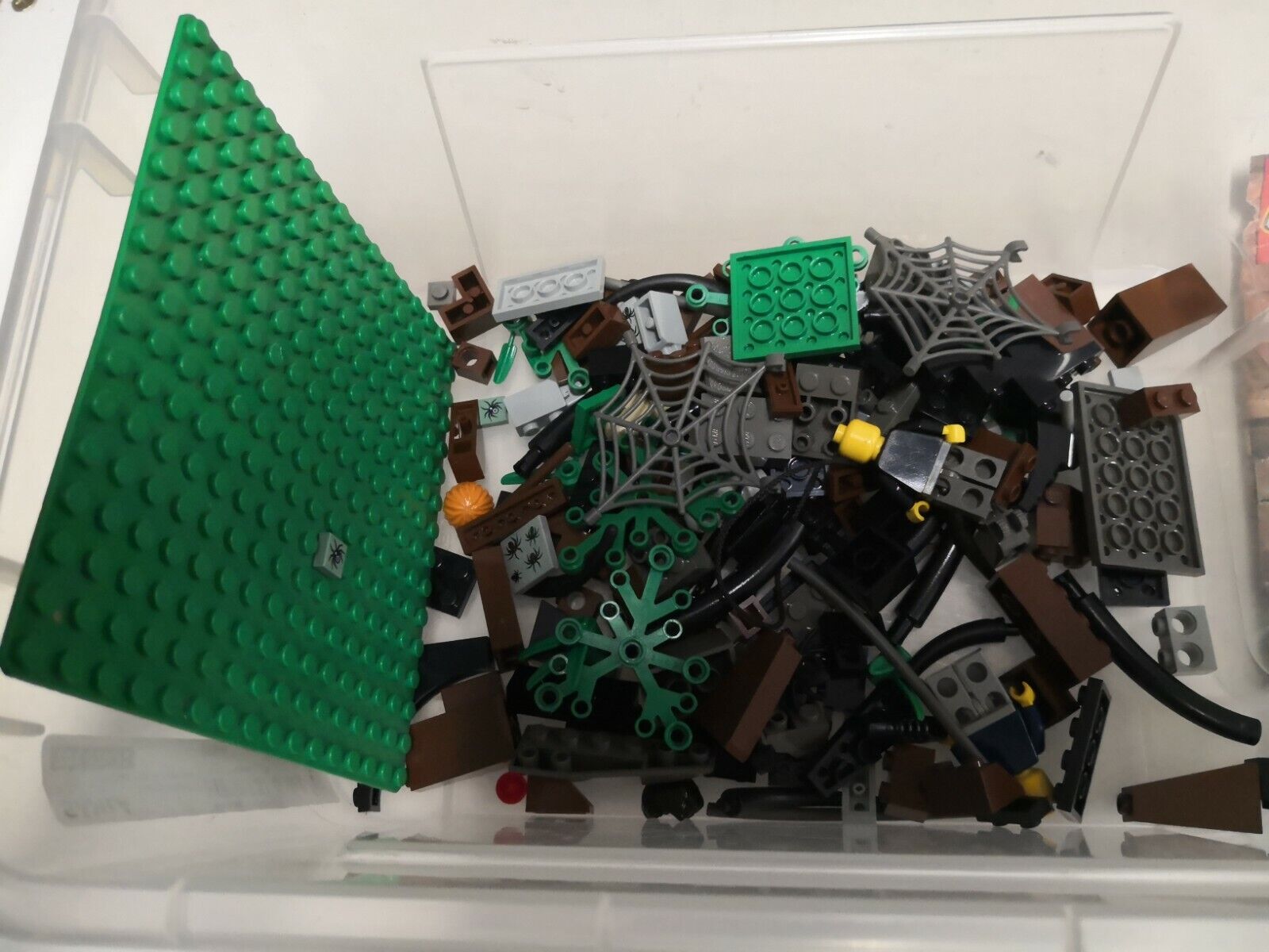 Lego-4727-Harry-Potter-Aragog-nella-Foresta-Proibita-manuale-strappato-134294800353-3