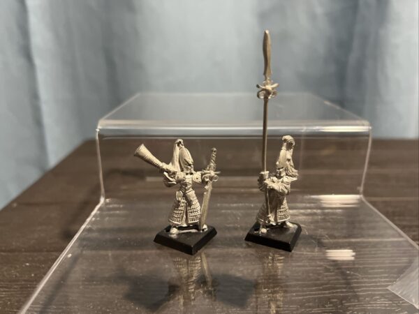 Warhammer Fantasy High Elves Elf Hoeth Standard Bearer And Musician