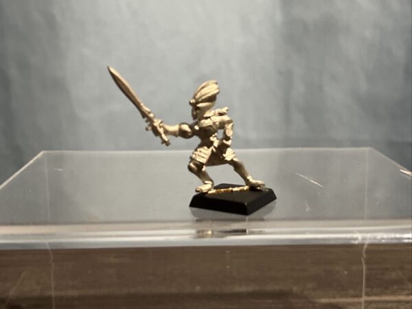 Warhammer Fantasy High Elves Elf Shadow Warriors Shadow Master Metallic