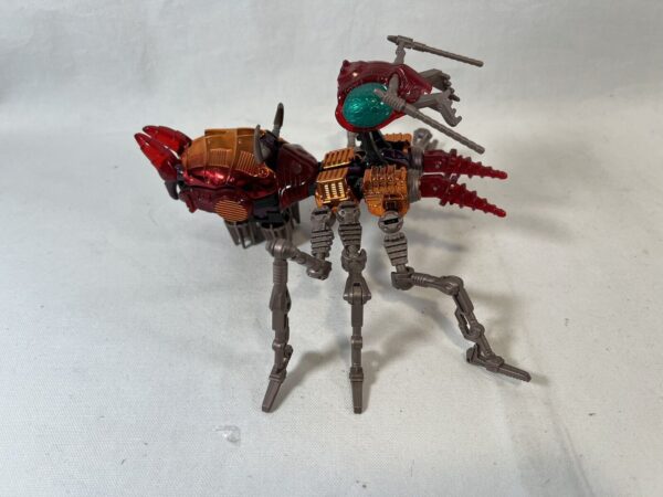 Hasbro Transformers Beast Wars deluxe Class Scavenger  Transmetals raro - immagine 7