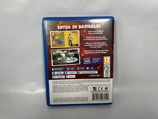 Playstation PsVita  Reality Fighters - immagine 4