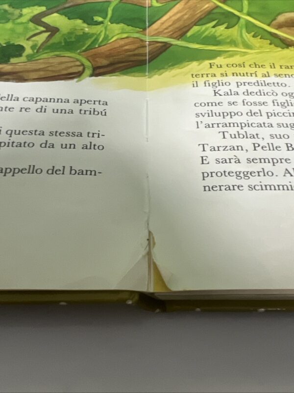 Mursia Beccogiallo - Tarzan - immagine 10