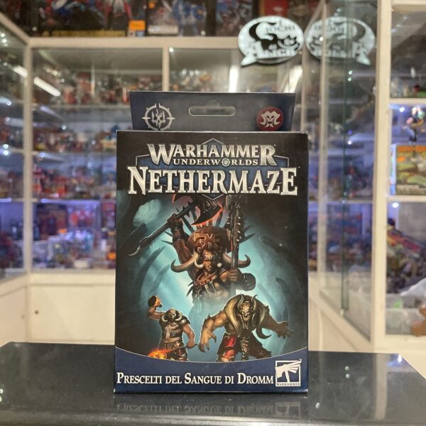 NETHERMAZE Prescelti del Sangue di Dromm in italiano Warhammer Underworlds