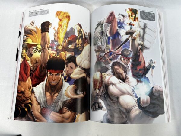 Capcom Artbook Street Fightet 20th Anniversary - immagine 6
