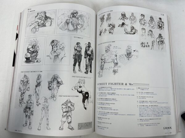 Capcom Artbook Street Fightet 20th Anniversary - immagine 10